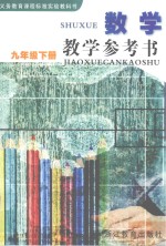 义务教育课程标准实验教科书  数学教学参考书  九年级  下