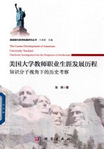 美国大学教师职业生涯发展历程  知识分子视角下的历史考察