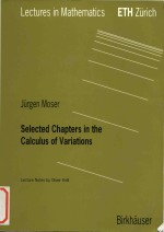 Selected Chapters in the Calculus of Variations