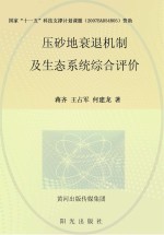 压砂地衰退机制及生态系统综合评价