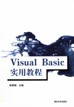 Visual Basic实用教程