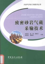 天然气开采工程技术丛书  致密砂岩气藏采输技术