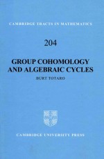 Group cohomology and algebraic cycles