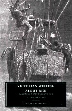 VICTORIAN WRITING ABOUT RISK Imagining a Safe England in a Dangerous World