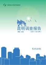 昆明调查报告  2011-2013年