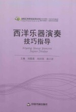 高校艺术研究论著丛刊  西洋乐器演奏技巧指导