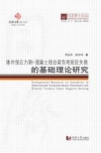 体外预应力钢-混凝土组合梁负弯矩区失稳的基础理论研究