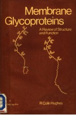 MEMBRANE GLYCOPROTEINS  A REVIEW OF STRUCTURE AND FUNCTION