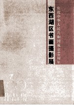 东西湖区书画摄影作品集  庆祝中华人民共和国成立60周年