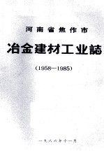 河南省焦作市冶金建材工业志  1958-1985  下  初稿