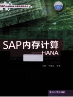 SAP内存计算-HANA