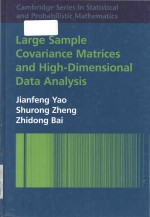 Large sample covariance matrices and high-dimensional data analysis