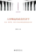 大国崛起的政治经济学 巴西、俄罗斯、印度与中国市场化进程的比较分析