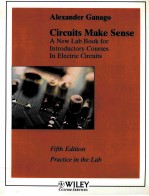 CIRCUITS MAKE SENSE  A NEW LAB BOOK FOR INTRODUCTORY COURSES IN ELECTRIC CIRCUITS