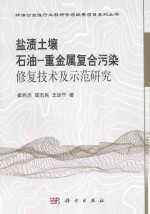 盐渍土壤石油-重金属复合污染修复技术及示范研究