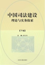 中国司法建设理论与实务探索  下