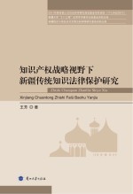 知识产权战略视野下新疆传统知识法律保护研究