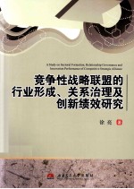 竞争性战略联盟的行业形成、关系治理及创新绩效研究