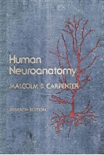 HUMAN NEUROANATOMY