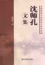 多相催化与表面化学研究回顾  沈师孔文集