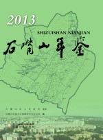 石嘴山年鉴  2013