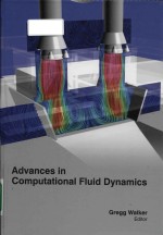 Advances in computational fluid dynamics