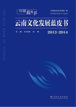 2013-2014云南文化发展蓝皮书