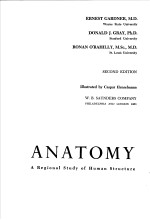 ANATOMY  A REGIONAL STUDY OF HUMAN STRUCTURE  SECOND EDITION