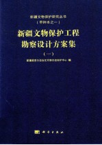 新疆文物保护工程勘察设计方案集  1