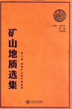 矿山地质选集  第8卷  铅锌矿山找矿新成就