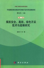 煤炭安全  高效  绿色开采技术与战略研究