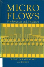 Micro flows: fundamentals and simulation