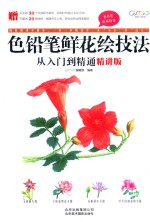 色铅笔鲜花绘技法从入门到精通