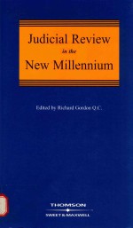 Judicial Review in the New Millennium