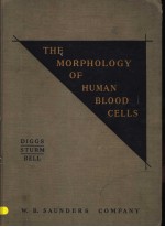 THE MORPHOLOGY OF HUMAN BLOOD CELLS