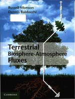 Terrestrial biosphere-atmosphere fluxes