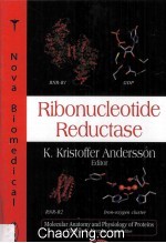 RIBONUCLEOTIDE REDUCTASE