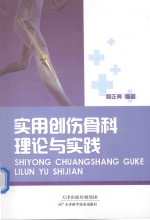 实用创伤骨科理论与实践