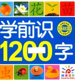 基础篇  学前识1200字