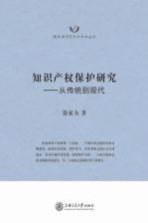 知识产权保护研究  从传统到现代