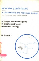 PHOTOGENERATED REAGENTS IN BIOCHEMISTRY AND MOLECULAR BIOLOGY