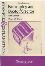 BANKRUPTCY AND DEBTOR/CREDITOR