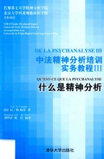 中法精神分析培训实务教程  3  什么是精神分析