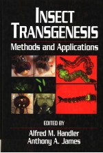 INSECT TRANSGENESIS METHODS AND APPLICATIONS