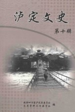 甘孜藏族自治州泸定县文史资料选辑  第10集