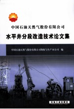 水平井分段改造技术论文集