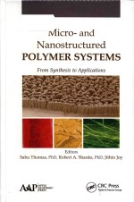 Micro- and nanostructured polymer systems: from synthesis to applications