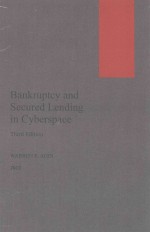 Bankruptcy and Secured Lending in Cyberspace