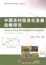 中国农村信息化发展战略研究