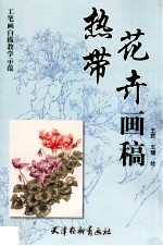 热带花卉画稿